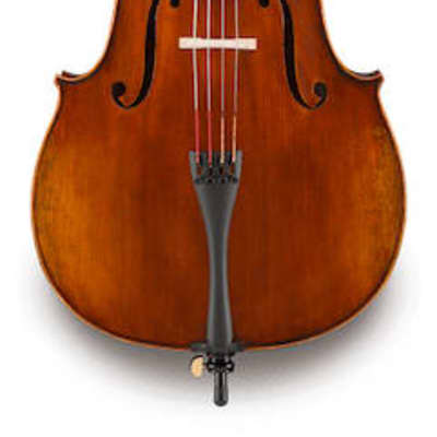 Eastman Cellos | Reverb