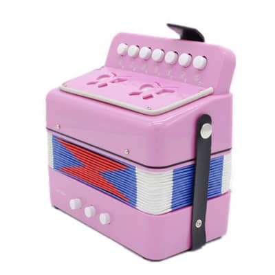 D’Luca Child Button Accordion Pink image 1