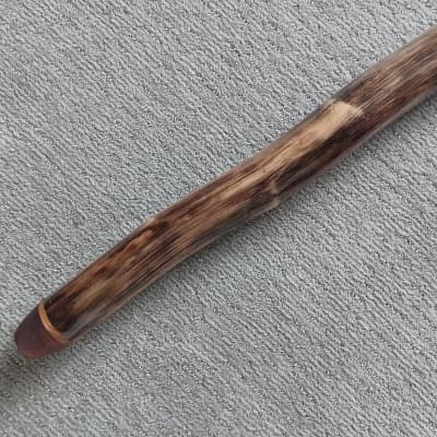 Custom Handmade Didgeridoo - Agave (Key B) 2022 Earth Tones image 3
