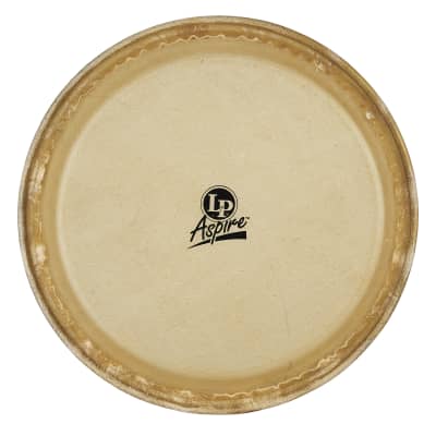 Latin Percussion LPA640A Aspire10" Pre Mounted Rawhide Replacement Quinto Head image 1