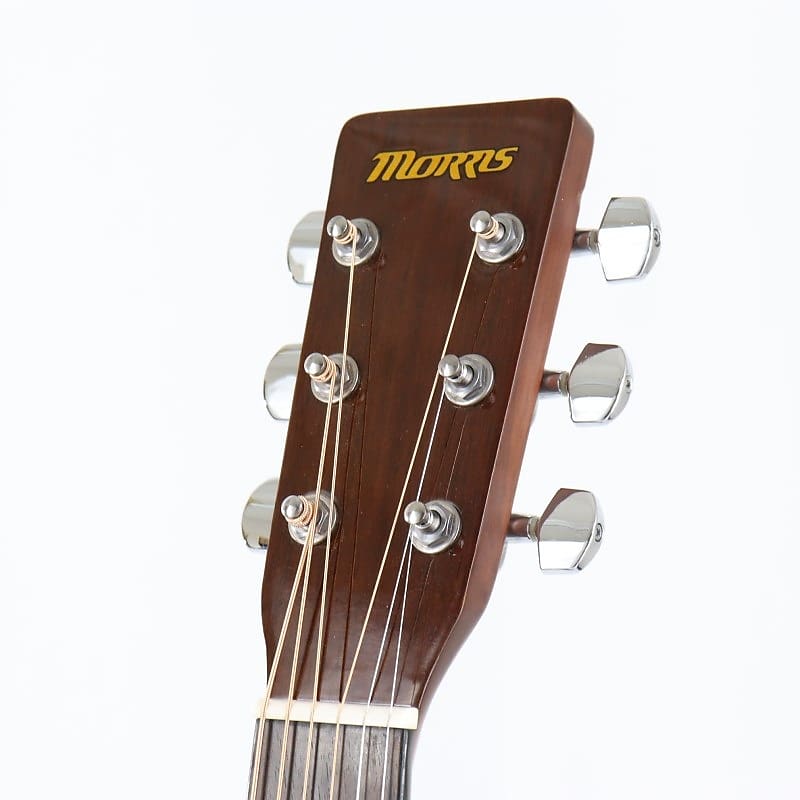 MORRIS [USED] MF-256 TS Morris | Reverb