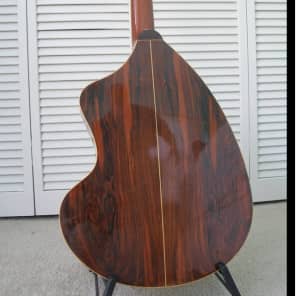 Giannini GWSCRA12-P Craviola - Led Zepplin Jimmy Page Guitar image 4