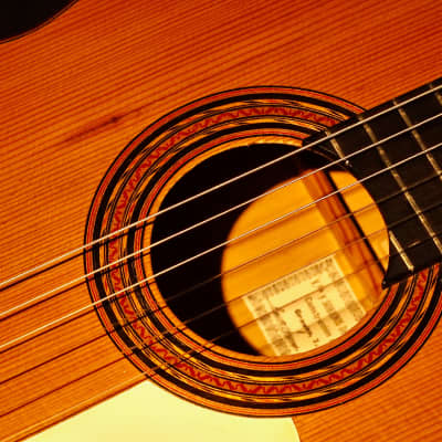 Guitarra Viuda y sobrinos de Domingo Esteso 1950 image 2