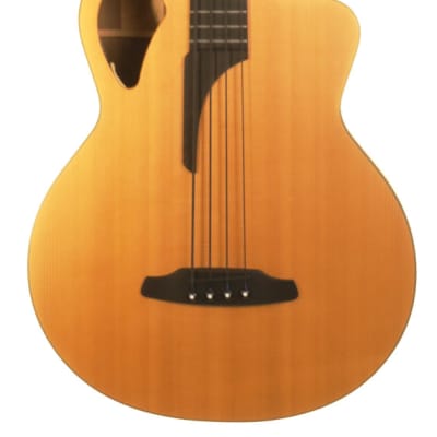 Furch B62-SW Electro Acoustic Bass Guitar w Gig Bag image 2