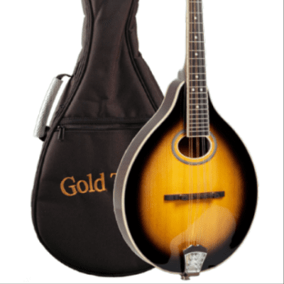 Gold Tone GM-50+ A-Style Solid Spruce Top Maple Neck 8-String Mandolin w/Gig Bag & Pickup image 1