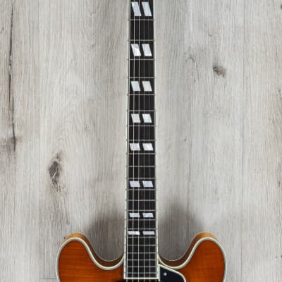 Eastman Guitars T486 Semi-Hollow Electric Guitar, Ebony Fretboard, GB Gold Burst image 4