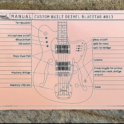 Deimel Guitar Works Bluestar w/ Tornipulator 2020 Natural Like-New (Authorized Deimel Dealer) image 16