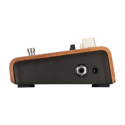 LR Baggs Align Series Acoustic Pedal  EQ Equalizer image 7
