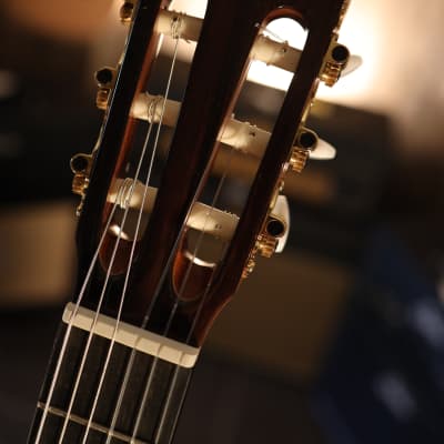 Alhambra 7C Classic Conservatory Cedar/Mahogany Nylon Guitar | Reverb