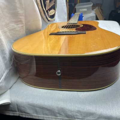 Alvarez DY74 Acoustic Guitar with Case - MIJ Made In Japan 1985 image 12