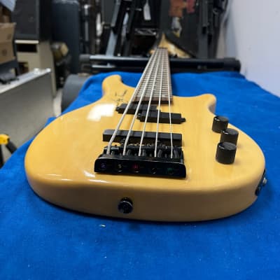 Used Jay Turser JTB550 5-String Electric Bass Guitar image 21