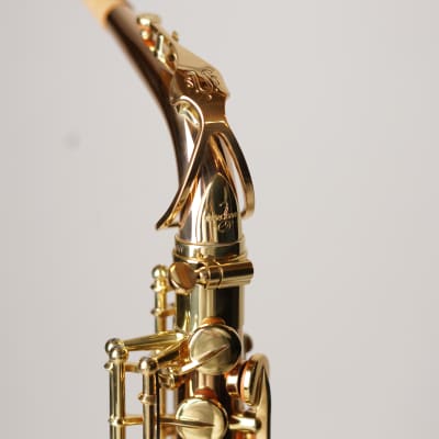 [In Stock]_Freeshipping! Yanagisawa Alto saxophone A WO-2 [AWO2]Bronze Brass Body image 4