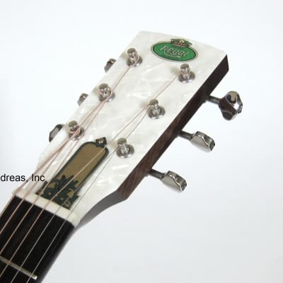 Regal Resonator Guitar Duolian Brushed Nickel-Plated Steel Body image 8