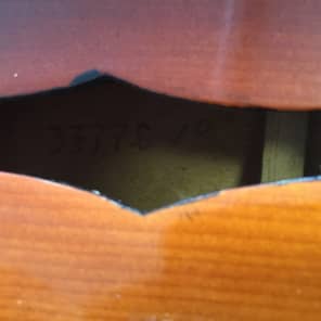 Gibson A00 Sunburst w/ chip case image 11