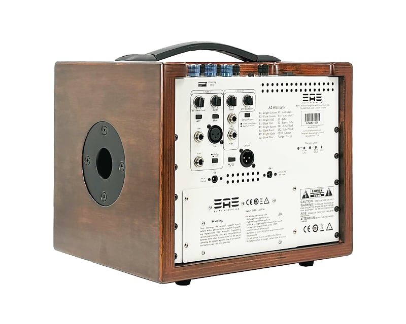 Elite Acoustics EAE A1-8 Acoustic Guitar/3 Chan Amplifier with LFP Battery WOOD image 1