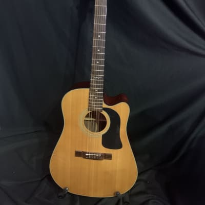 Washburn D-12CE/N Acoustic Guitar for sale