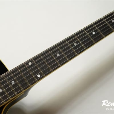 KING SNAKE Black Bear w/ free shipping! | Reverb Australia