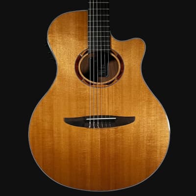 Used Cat's Eyes CE-400 w/case | Reverb