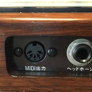 【SUZUKI 電気大正琴】 TES-100 Suzuki TES-100 Taishogoto WARAKU suzuki electric harp Koto