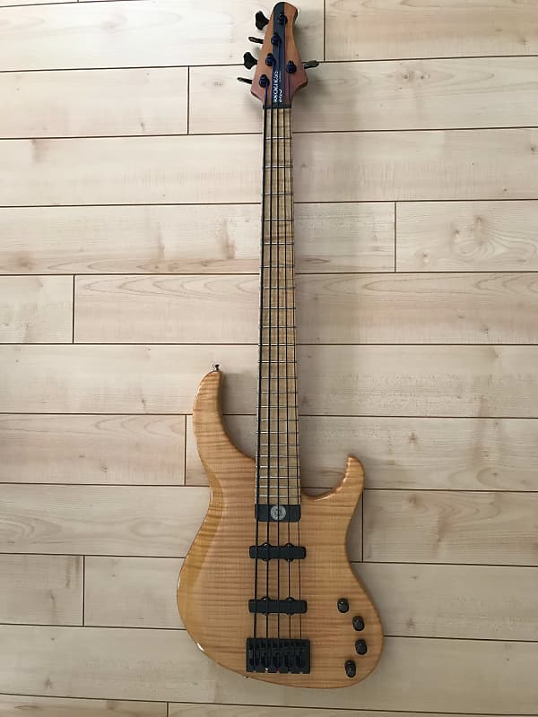Modulus Genesis 5st Modulus Graphite Genesis 5st. | The Bass Shop