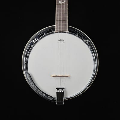 Ibanez 5-String Banjo, Natural Closed Back - B200 - Campground Special ! for sale