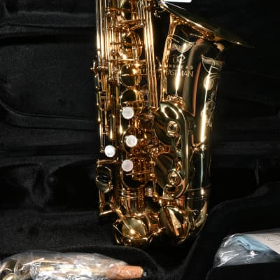 Eastman EAS650 Professional Alto Saxophone - Brass image 3