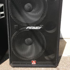 Peavey sp 218 dual 18 hotsell subwoofer used