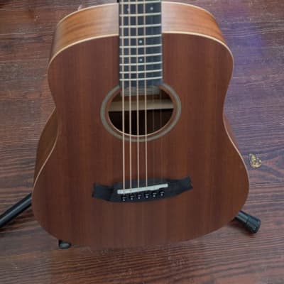 タングルウッドTW28-SSN