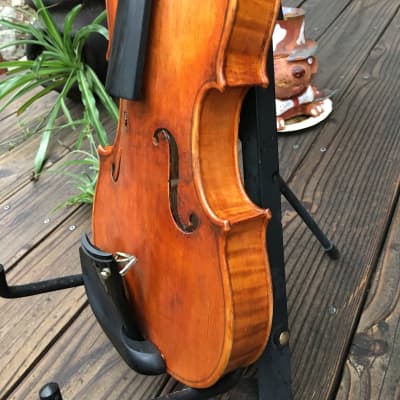 Violin Unknown Oil Varnish image 4