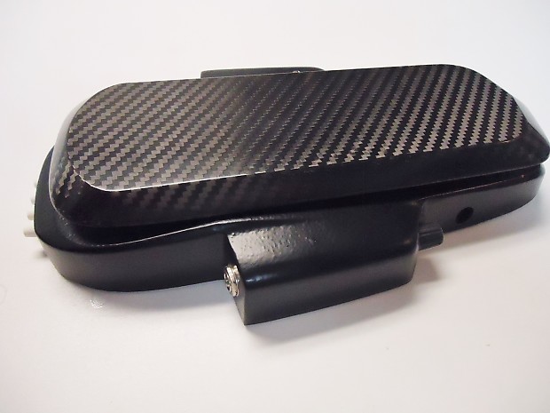 Roger Mayer Vision Wah Black | Reverb