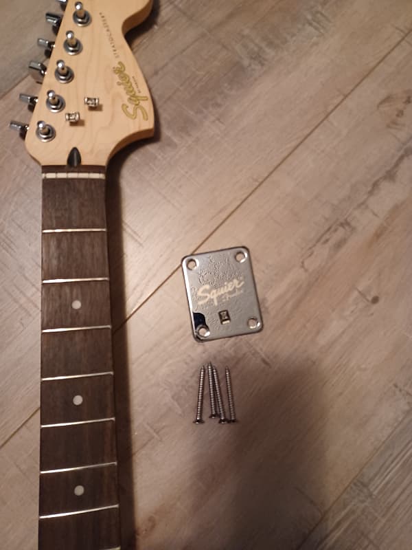 Fender Squier image 1