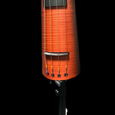 NS Design NXT4A Electric Upright Bass, Sunburst *IN STOCK* image 2