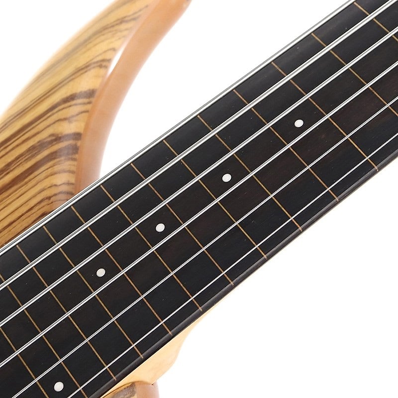 Tune TWB-6 Zebrawood