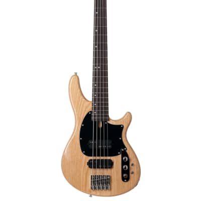 Schecter 2493 5-String Bass Guitar, Gloss Natural, CV-5 image 1