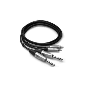Hosa HPR-010X2 Dual REAN 1/4" TS Male to RCA Stereo Interconnect Cable - 10'