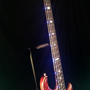 Alembic Burl Redwood Custom 4 String Bass image 3