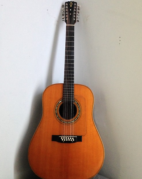 Bozo store 12 string