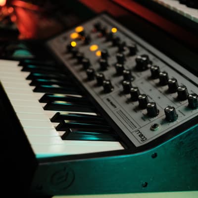 Moog Sub Phatty (April 2018) with Moog Dust Cover