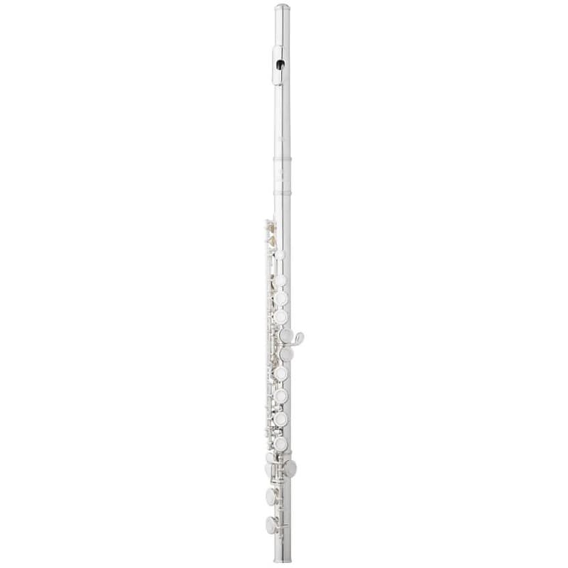 Eastman Efl210Se Flute | eBay
