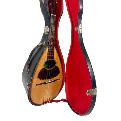 Stridente Student Mandolin 1900's image 17