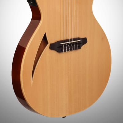ESP LTD TL-6N Thinline-6 Nylon Classical Acoustic-Electric Guitar, Natural image 3