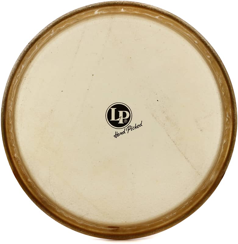 Latin Percussion Fiberskyn Conga Head - 11-3/4 Inch - Conga