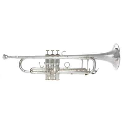 Magenta Winds Bb Trumpet - TP 2GS for sale