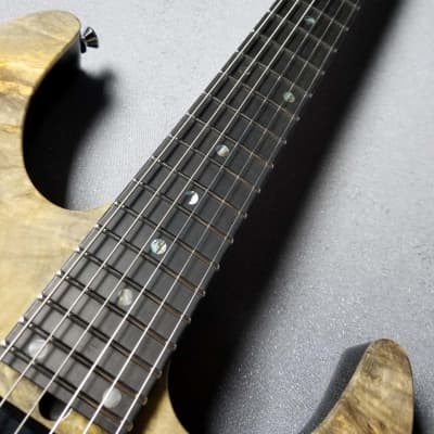 T's Guitars DST-Pro24 Custom Natural【Buckeye Burl w/Resin / Ash】Japanese Handmade Brand image 5