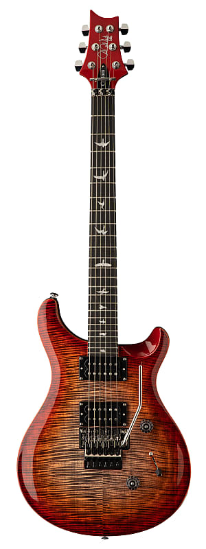 v*s様 PRS SE Custom24 Floyd charcoal burs PRS - SE Custom 24 