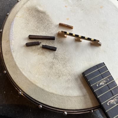 Orpheum No. 1 Mandolin Banjo Project with Original Hard Case image 18
