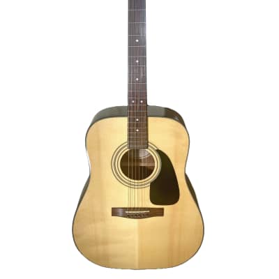 Fender Dreadnought Acoustic Guitar Pro-SetUp (DG-8S Spruce/Mahogany) image 1