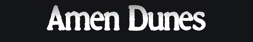 The Official Amen Dunes Reverb Shop