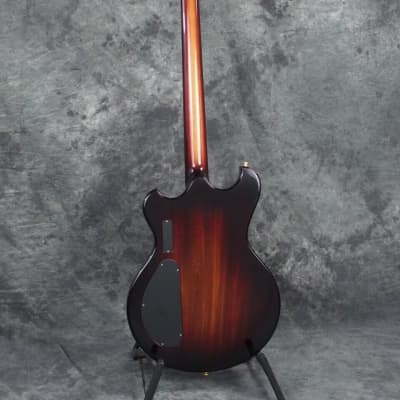Alembic Skylark 6 String 25.5 inch Long Scale Electric Guitar with Case image 4