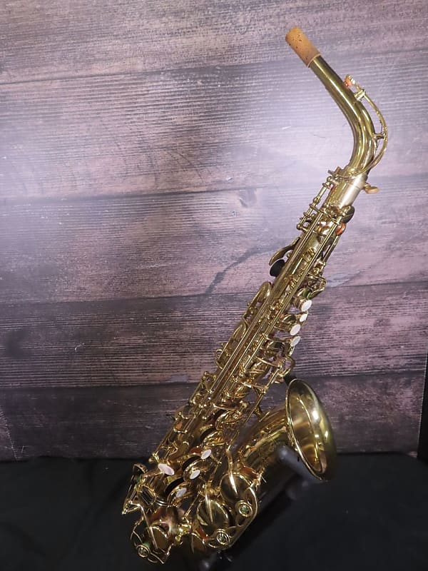 Selmer AS110 Alto Saxophone (Jacksonville, FL) Reverb